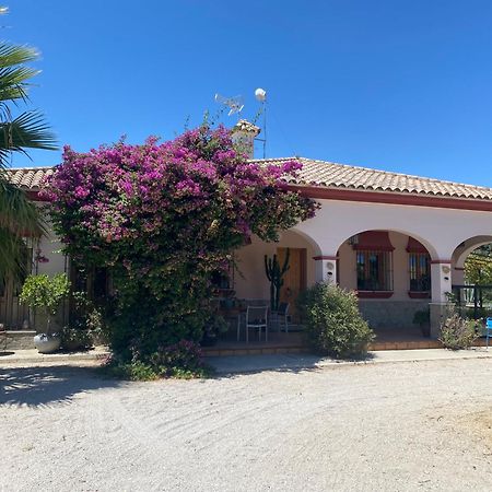 Villa Entre Mer Et Montagne Аркос-де-ла-Фронтера Екстер'єр фото