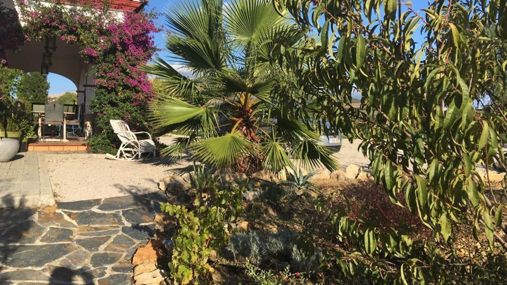 Villa Entre Mer Et Montagne Аркос-де-ла-Фронтера Екстер'єр фото