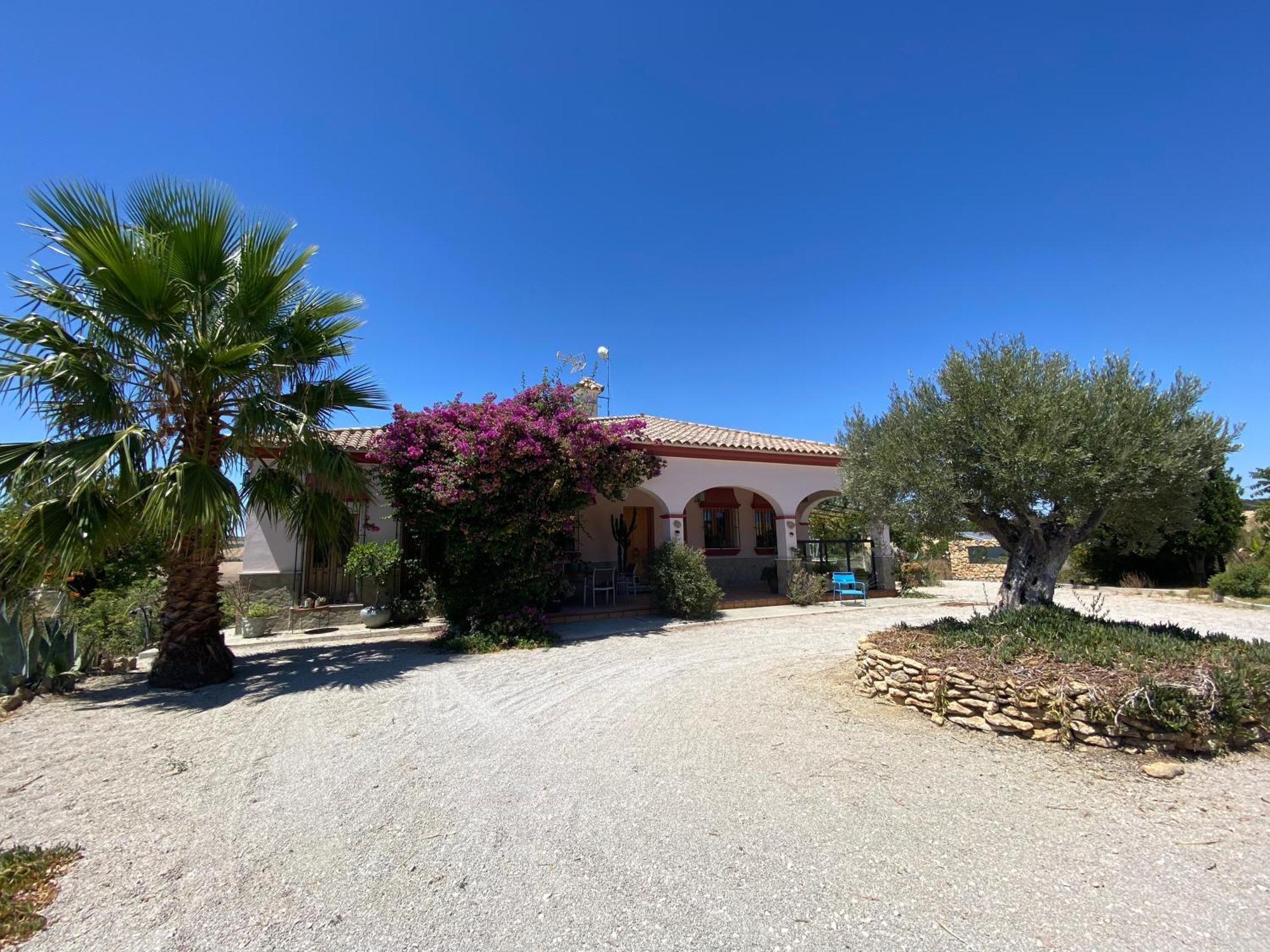 Villa Entre Mer Et Montagne Аркос-де-ла-Фронтера Екстер'єр фото